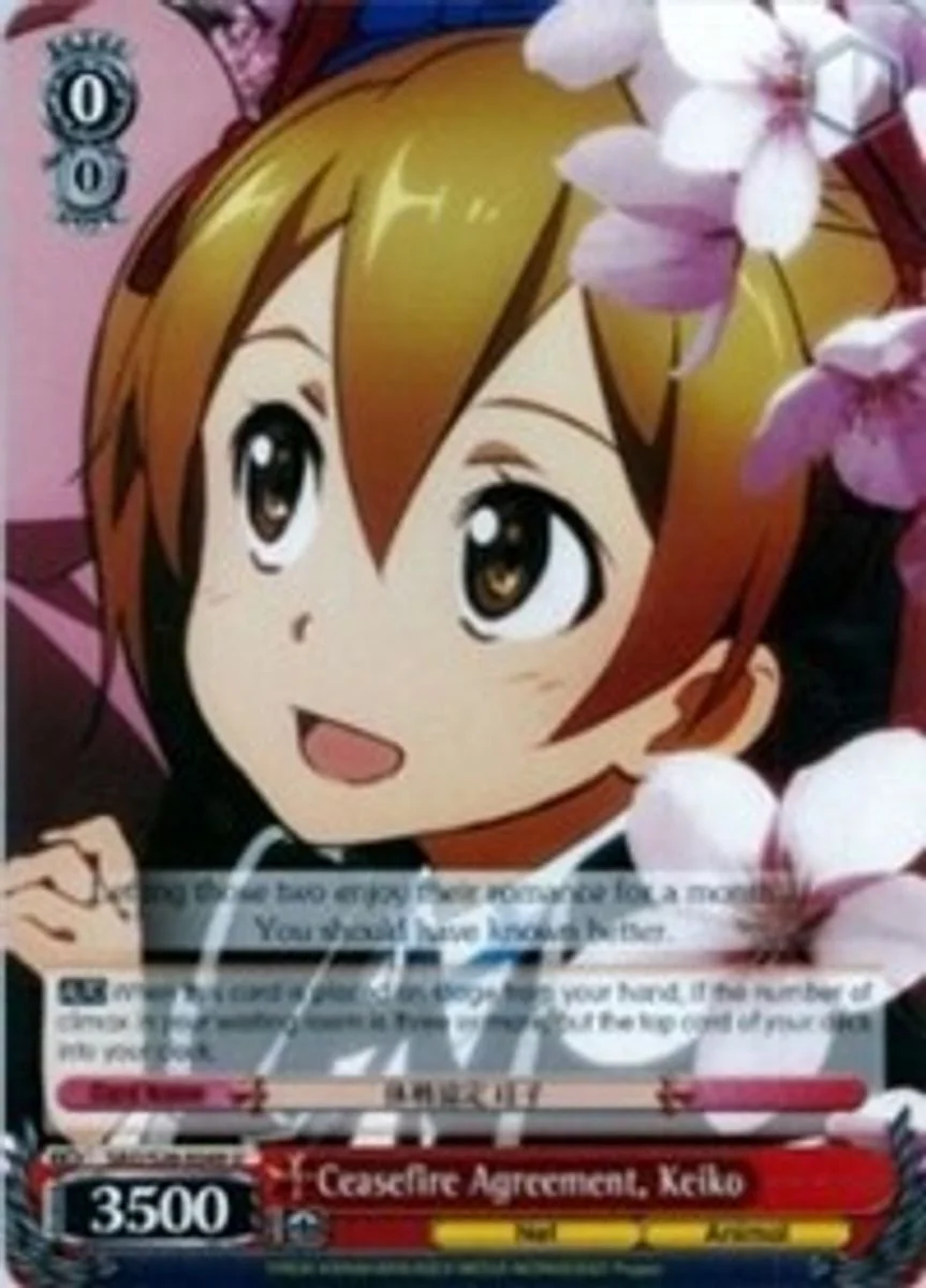 Ceasefire Agreement, Keiko 「SAO/S26-E049」「EN」
