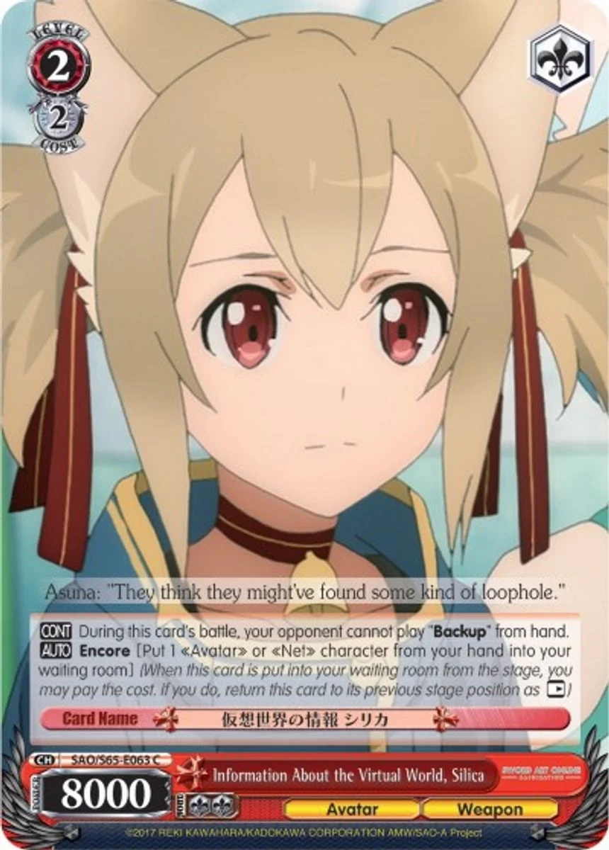 Information About the Virtual World, Silica 「SAO/S65-E063」「EN」