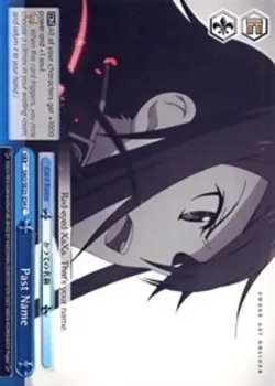 Past Name 「SAO/SE23-E34」「EN」