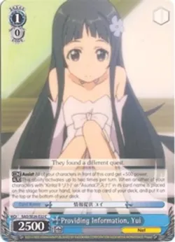 Providing Information, Yui 「SAO/SE26-E32」「EN」