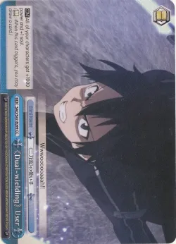 《Dual-wielding》User 「SAO/S47-E099」「EN」
