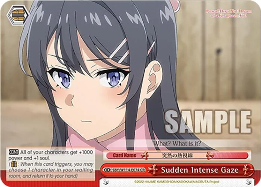 Sudden Intense Gaze 「SBY/W114-E074」「EN」