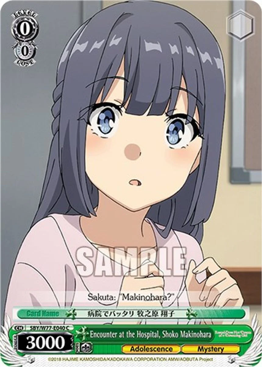 Encounter at the Hospital, Shoko Makinohara 「SBY/W77-E040」「EN」