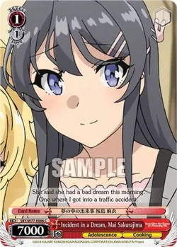 Incident in a Dream, Mai Sakurajima 「SBY/W77-E066」「EN」
