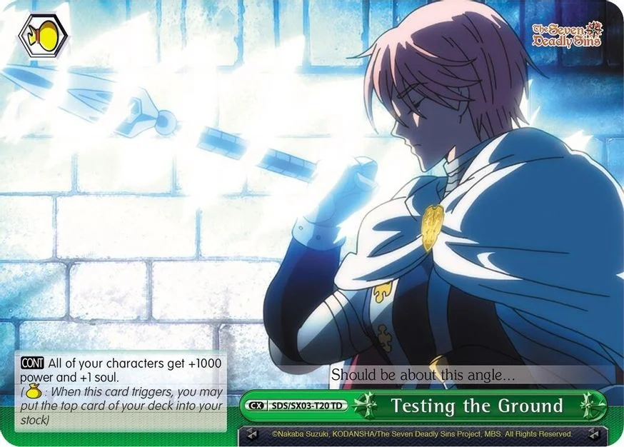 Testing the Ground 「SDS/SX03-T20」「EN」