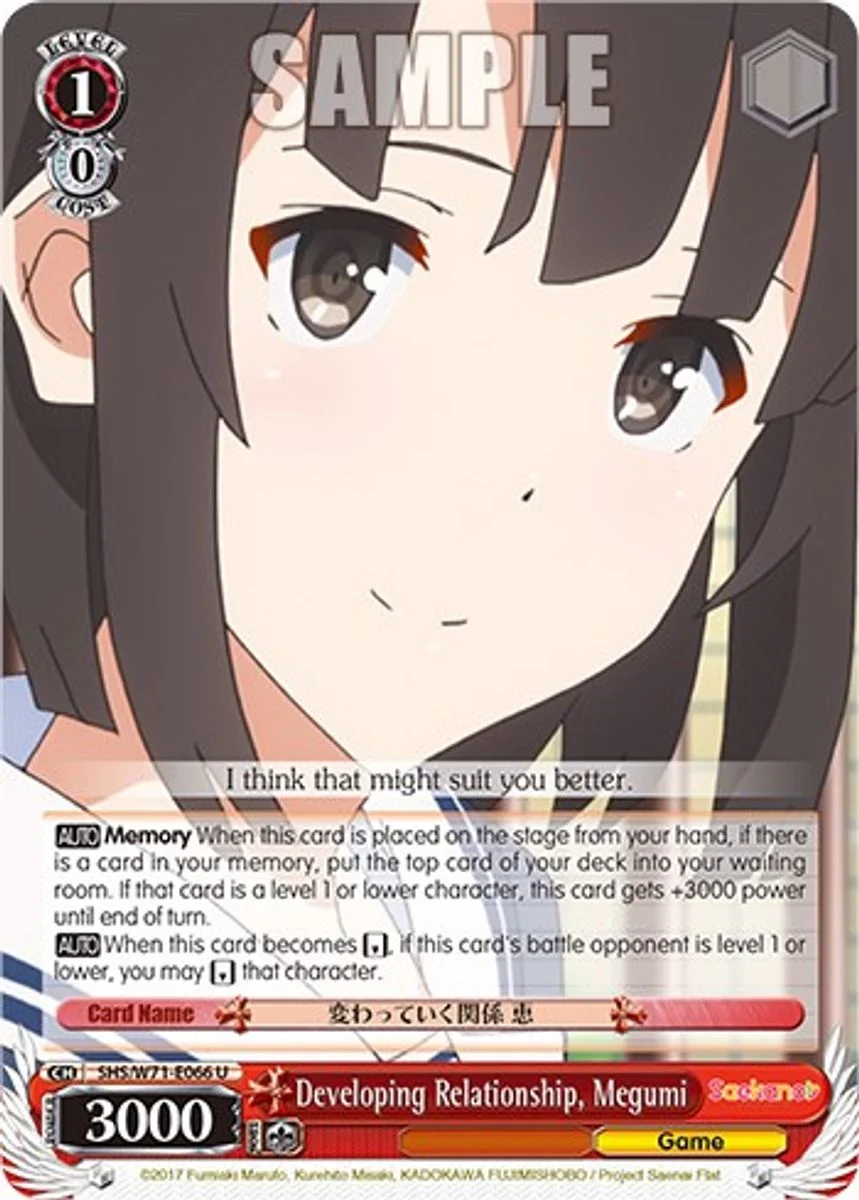 Developing Relationship, Megumi 「SHS/W71-E066」「EN」
