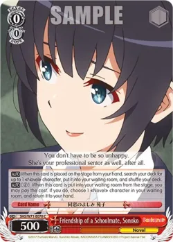 Friendship of a Schoolmate, Sonoko 「SHS/W71-E070」「EN」