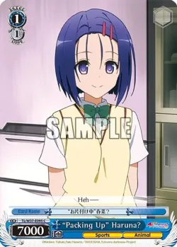 “Packing Up” Haruna? 「TL/W37-E095」「EN」