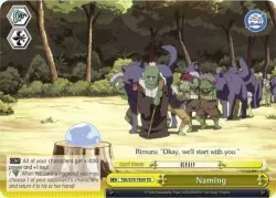 Naming 「TSK/S70-TE09」「EN」