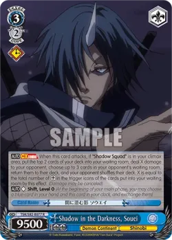 Shadow in the Darkness, Souei 「TSK/S82-E077」「EN」