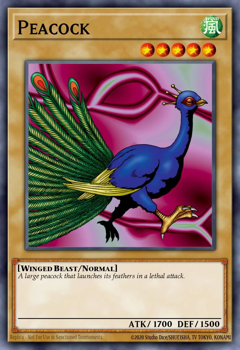 Peacock 「EN」