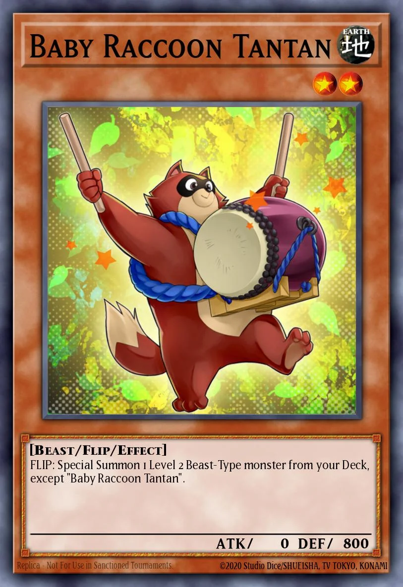 Baby Raccoon Tantan 「EN」