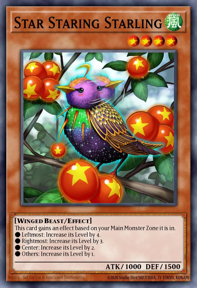Star Staring Starling 「EN」