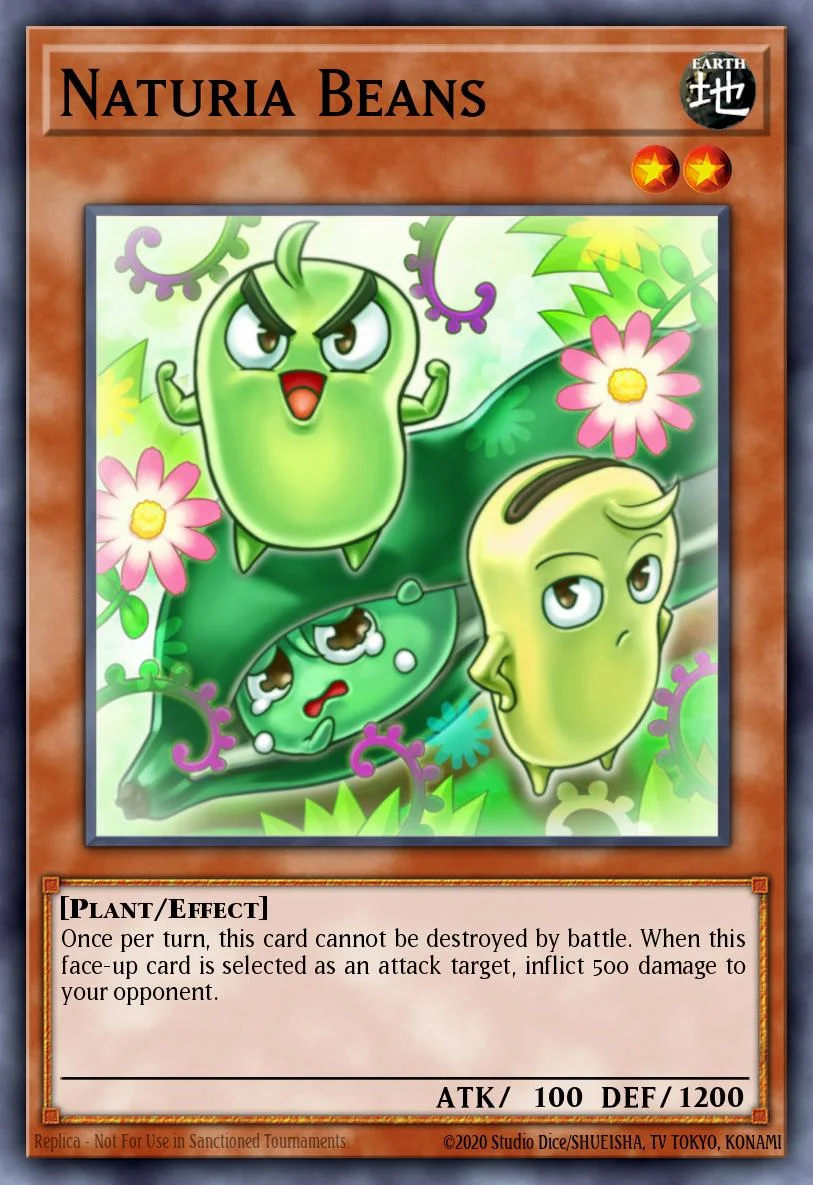 Naturia Beans 「EN」