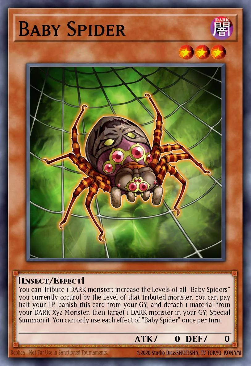 Baby Spider 「EN」