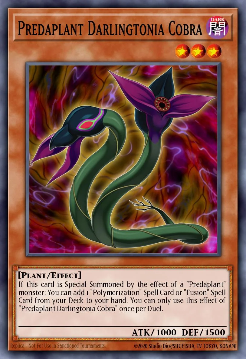 Predaplant Darlingtonia Cobra 「EN」