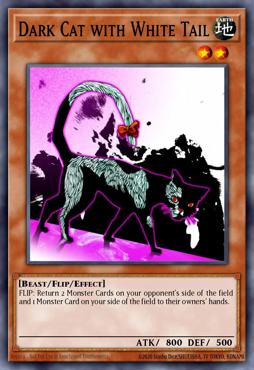 Dark Cat with White Tail 「EN」