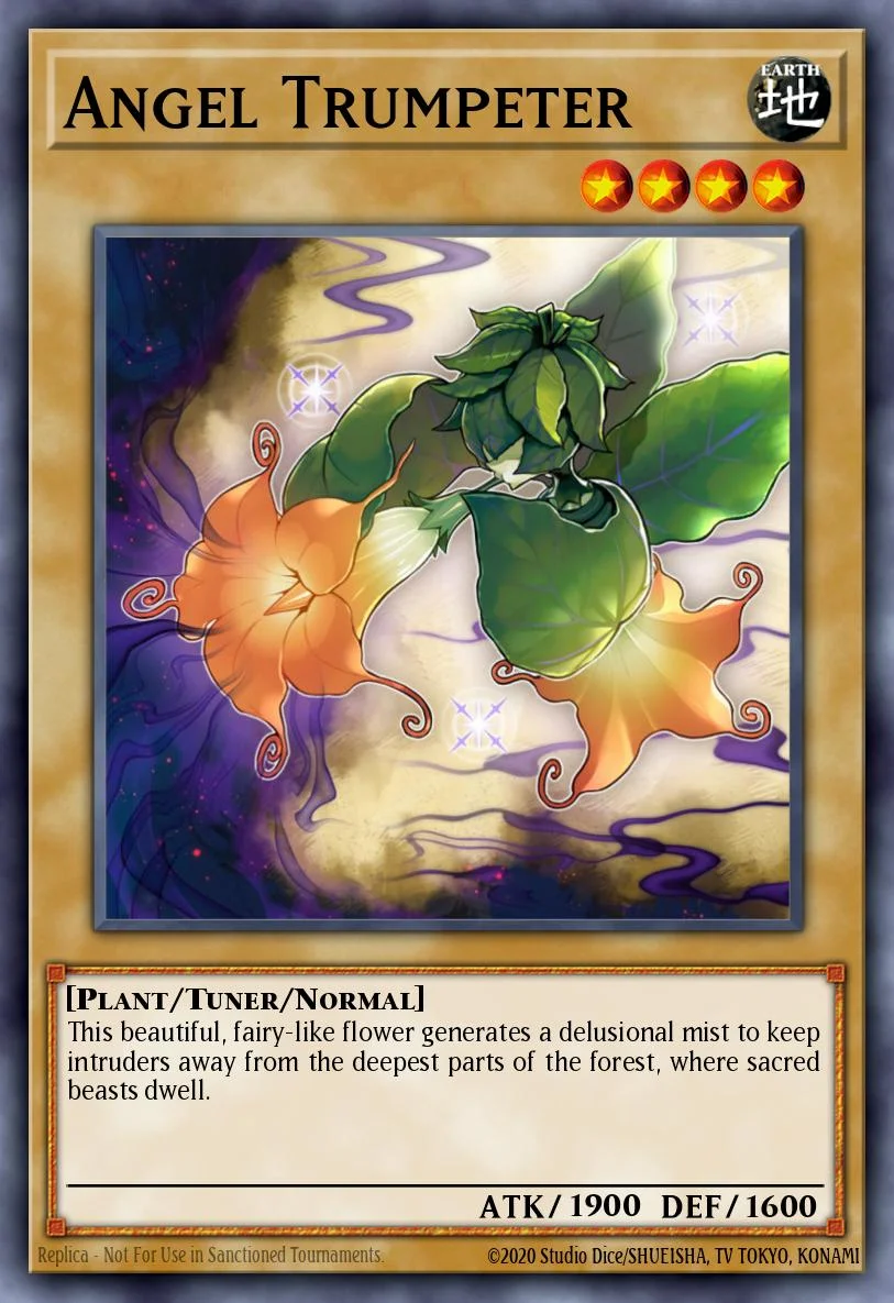 Angel Trumpeter 「EN」