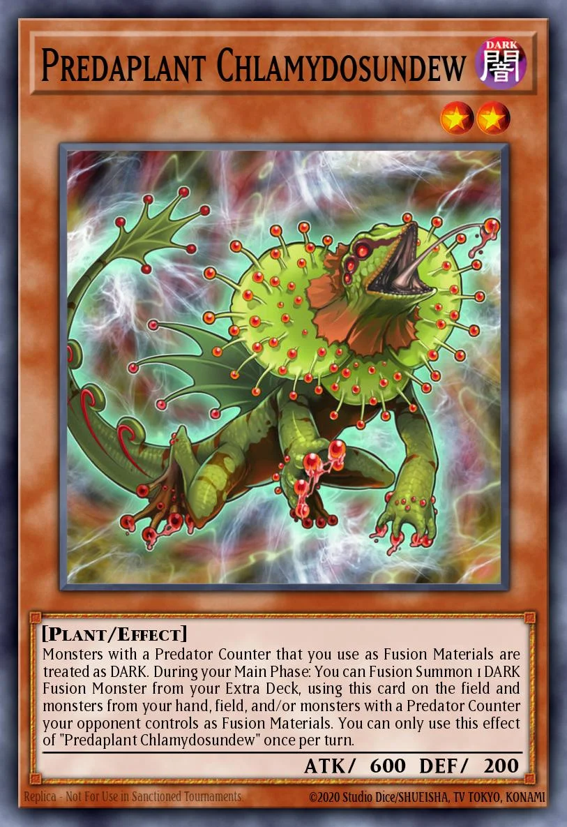 Predaplant Chlamydosundew 「EN」
