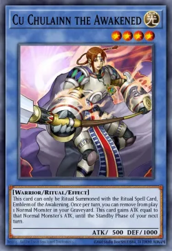 Cu Chulainn the Awakened 「EN」