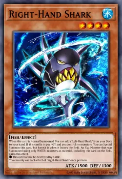 Right-Hand Shark 「EN」
