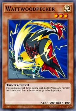 Wattwoodpecker 「EN」