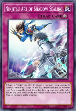 Ninjitsu Art of Shadow Sealing 「EN」