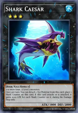 Shark Caesar 「EN」