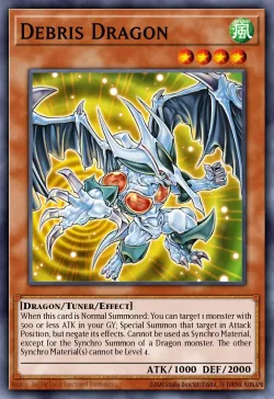 Debris Dragon 「EN」