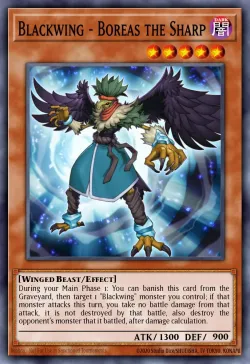 Blackwing - Boreas the Sharp 「EN」