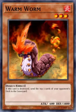 Warm Worm 「EN」