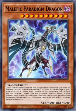 Malefic Paradigm Dragon 「EN」