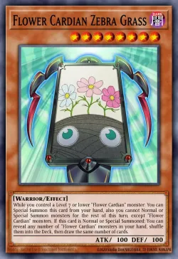 Flower Cardian Zebra Grass 「EN」