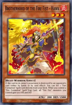 Brotherhood of the Fire Fist - Hawk 「EN」