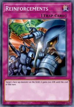 Reinforcements 「EN」