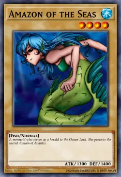 Amazon of the Seas 「EN」