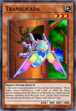 Transcicada 「EN」