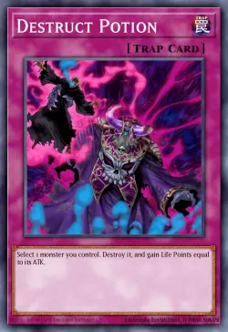 Destruct Potion 「EN」