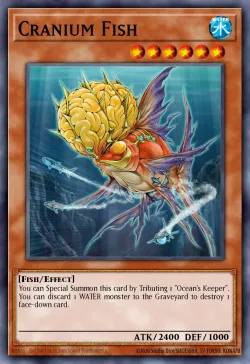 Cranium Fish 「EN」