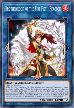 Brotherhood of the Fire Fist - Peacock 「EN」