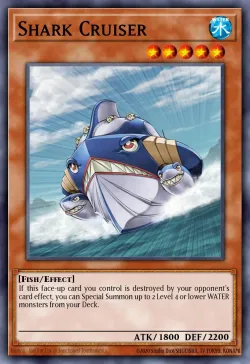 Shark Cruiser 「EN」