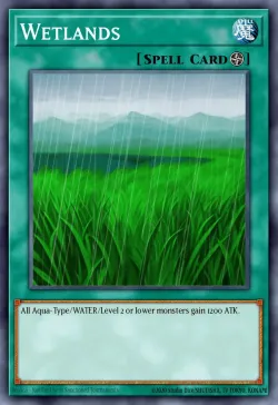 Wetlands 「EN」