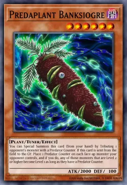 Predaplant Banksiogre 「EN」