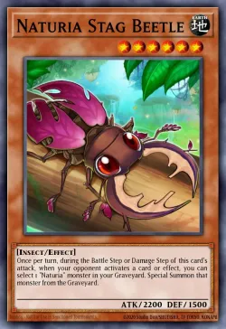 Naturia Stag Beetle 「EN」