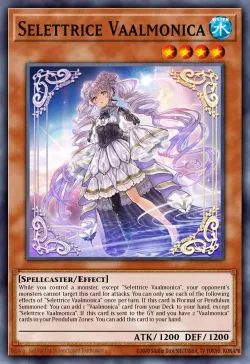 Selettrice Vaalmonica 「EN」