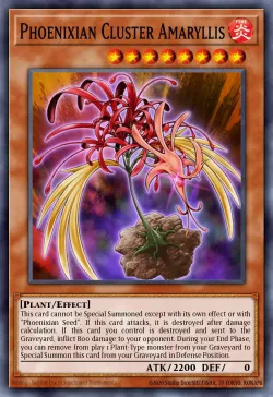 Phoenixian Cluster Amaryllis 「EN」