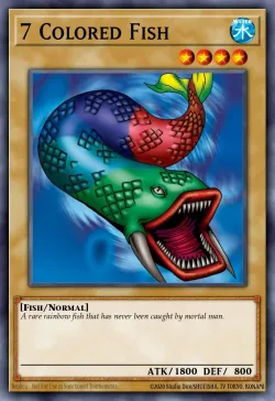 7 Colored Fish 「EN」
