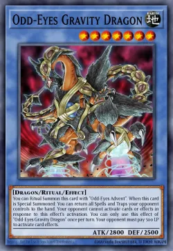Odd-Eyes Gravity Dragon 「EN」