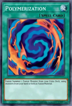 Polymerization 「EN」