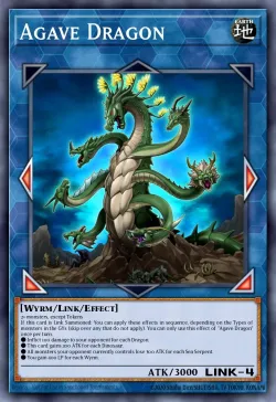 Agave Dragon 「EN」